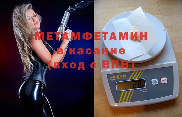 трава Абаза