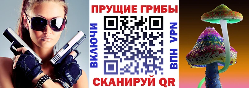 kraken вход  Каменск-Шахтинский  Псилоцибиновые грибы Psilocybe  купить наркотики цена 