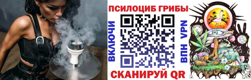 Псилоцибиновые грибы GOLDEN TEACHER Каменск-Шахтинский
